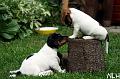 100707_rico, lilli